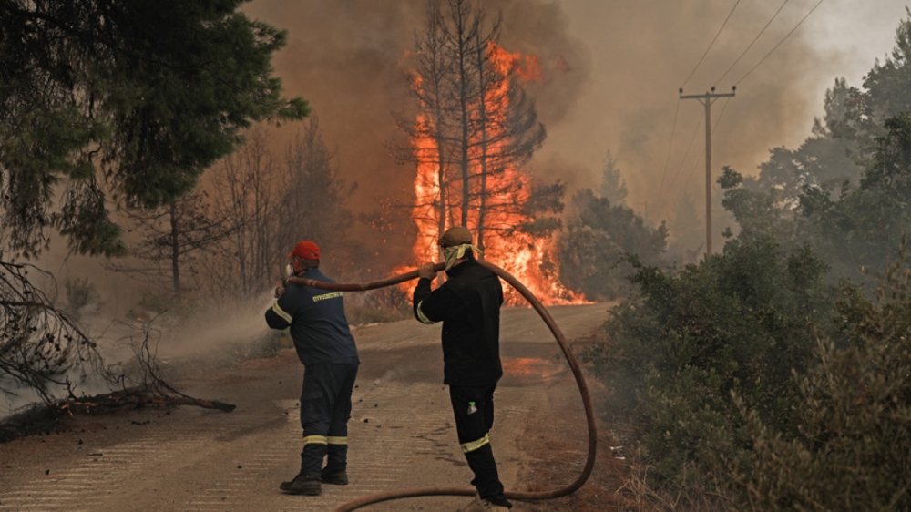 &Tau;&rho;&alpha;&gamma;&iota;&kappa;ό&sigmaf; &omicron; &alpha;&pi;&omicron;&lambda;&omicron;&gamma;&iota;&sigma;&mu;ό&sigmaf; &tau;&omega;&nu; &phi;&epsilon;&tau;&iota;&nu;ώ&nu; &pi;&upsilon;&rho;&kappa;&alpha;&gamma;&iota;ώ&nu; &sigma;&epsilon; &alpha;&nu;&theta;&rho;ώ&pi;&iota;&nu;&epsilon;&sigmaf; &kappa;&alpha;&iota; &pi;&epsilon;&rho;&iota;&beta;&alpha;&lambda;&lambda;&omicron;&nu;&tau;&iota;&kappa;έ&sigmaf; &alpha;&pi;ώ&lambda;&epsilon;&iota;&epsilon;&sigmaf;