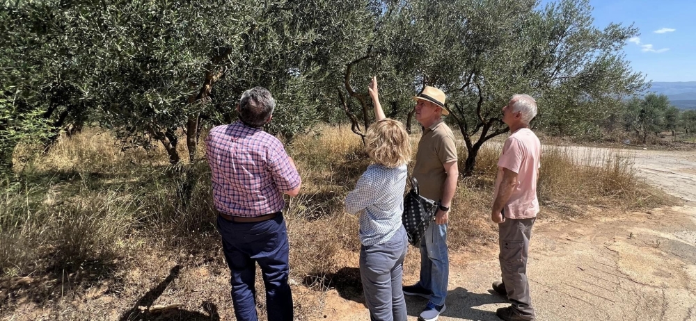 &laquo;&Sigma;&alpha;&rho;ώ&nu;&epsilon;&iota;&raquo; &tau;&omicron;&nu; &Delta;. &Mu;&omicron;&nu;&epsilon;&mu;&beta;&alpha;&sigma;ί&alpha;&sigmaf; &gamma;&iota;&alpha; &tau;&iota;&sigmaf; &pi;&lambda;&eta;&gamma;&epsilon;ί&sigma;&epsilon;&sigmaf; &epsilon;&lambda;&iota;έ&sigmaf; &omicron; &Epsilon;&Lambda;&Gamma;&Alpha;