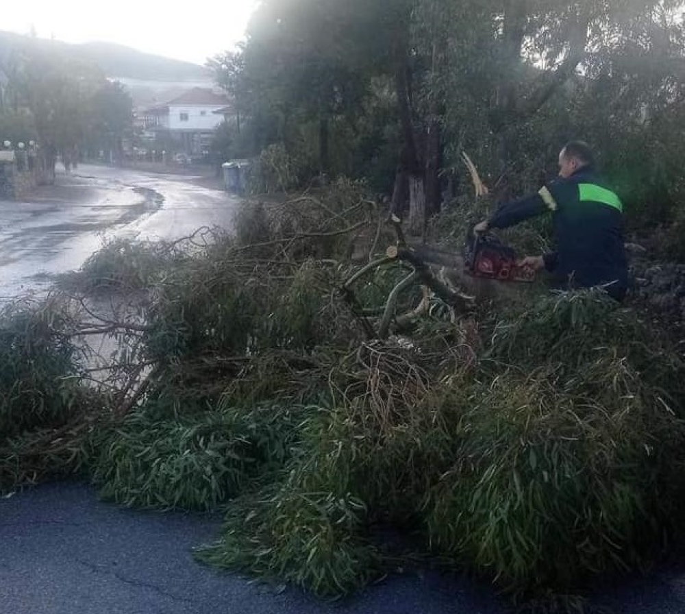 &Upsilon;&pi;&omicron;&beta;&omicron;&lambda;ή &alpha;&iota;&tau;ή&sigma;&epsilon;&omega;&nu; &gamma;&iota;&alpha; &tau;&iota;&sigmaf; &zeta;&eta;&mu;&iota;έ&sigmaf; &alpha;&pi;ό &tau;&omicron;&nu; &alpha;&nu;&epsilon;&mu;&omicron;&sigma;&tau;&rho;ό&beta;&iota;&lambda;&omicron; &sigma;&tau;&omicron; &Gamma;&epsilon;&rho;ά&kappa;&iota;