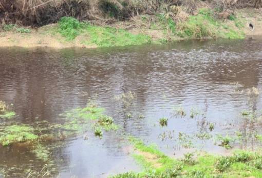 Στοπ! Το «έγκλημα» αναβιώνει με ίδιο θύμα…(ΦΩΤΟ)