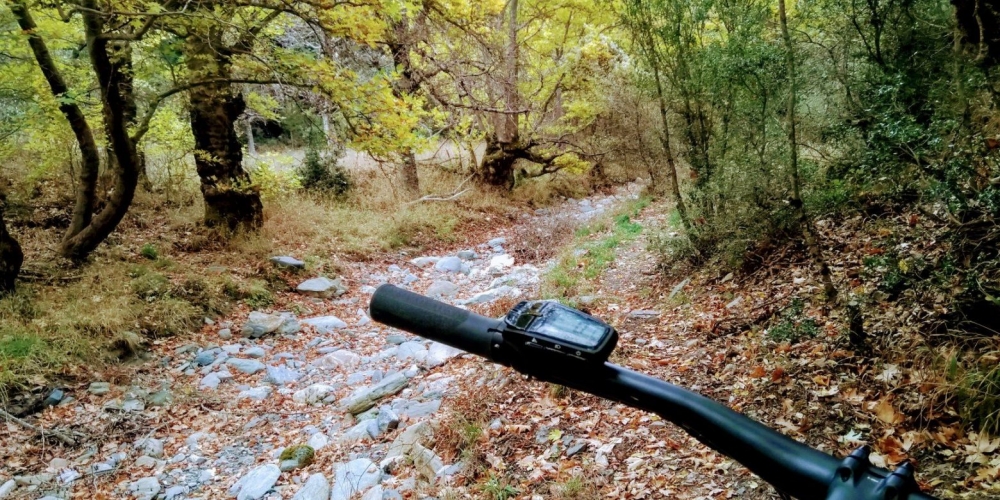 &Pi;&epsilon;&zeta;&omicron;&pi;&omicron;&rho;ί&alpha; &kappa;&alpha;&iota; &pi;&omicron;&delta;&eta;&lambda;&alpha;&sigma;ί&alpha; &sigma;&tau;&alpha; &mu;&omicron;&nu;&omicron;&pi;ά&tau;&iota;&alpha; &tau;&eta;&sigmaf; &Beta;&alpha;&mu;&beta;&alpha;&kappa;&omicron;ύ&sigmaf;