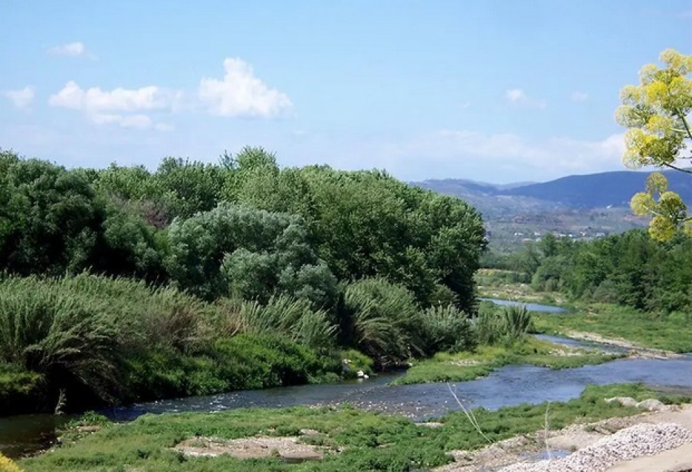 &Pi;έ&pi;&lambda;&omicron; &pi;&rho;&omicron;&sigma;&tau;&alpha;&sigma;ί&alpha;&sigmaf; &tau;&eta;&sigmaf; &beta;&iota;&omicron;&pi;&omicron;&iota;&kappa;&iota;&lambda;ό&tau;&eta;&tau;&alpha;&sigmaf; &sigma;&epsilon; &Epsilon;&upsilon;&rho;ώ&tau;&alpha; &kappa;&alpha;&iota; &Pi;ά&rho;&nu;&omega;&nu;&alpha;