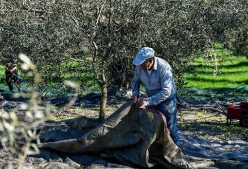 Ενίσχυση της παραγωγής σε τοπικό επίπεδο
