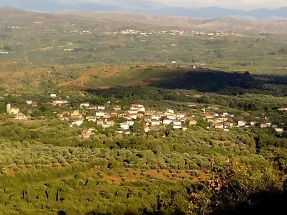 &Eta; &Pi;&omicron;&tau;&alpha;&mu;&iota;ά &alpha;&pi;&alpha;&nu;&tau;ά &sigma;&tau;&omicron; &delta;&eta;&mu;&omicron;&sigma;ί&epsilon;&upsilon;&mu;&alpha;  &tau;&omicron;&upsilon; &laquo;&Lambda;&Tau;&raquo; &gamma;&iota;&alpha; &tau;&omicron;&nu; &eta;&lambda;&epsilon;&kappa;&tau;&rho;&omicron;&phi;&omega;&tau;&iota;&sigma;&mu;ό