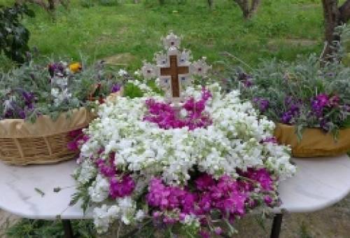 Στολισμός Τίμιου Σταυρού: Κάλεσμα της Ενορίας Αγίου Σπυρίδωνος για προσφορά λουλουδιών