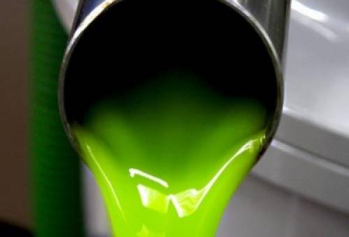 Στις παρυφές των 8 ευρώ το αγουρέλαιο στη Λακωνία