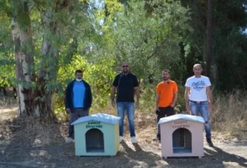 Τοποθετήθηκαν ξύλινα σπιτάκια για τα αδέσποτα της Σπάρτης