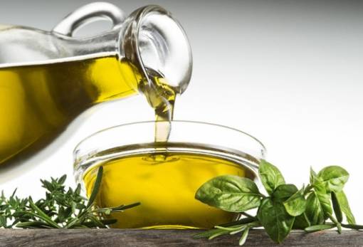 Από «ATHENA» στη γη της ελιάς Σπάρτη