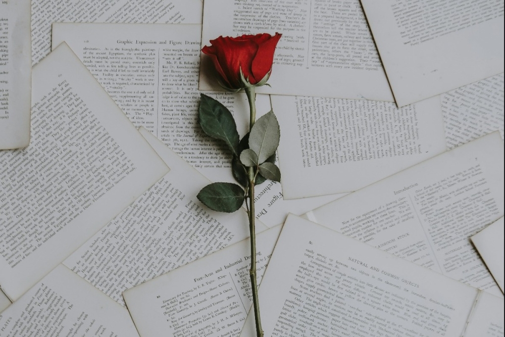 &Tau;&alpha; 2 &zeta;ώ&delta;&iota;&alpha; &pi;&omicron;&upsilon; &epsilon;&rho;&omega;&tau;&epsilon;ύ&omicron;&nu;&tau;&alpha;&iota;  &pi;ά&rho;&alpha; &pi;&omicron;&lambda;ύ &delta;ύ&sigma;&kappa;&omicron;&lambda;&alpha;