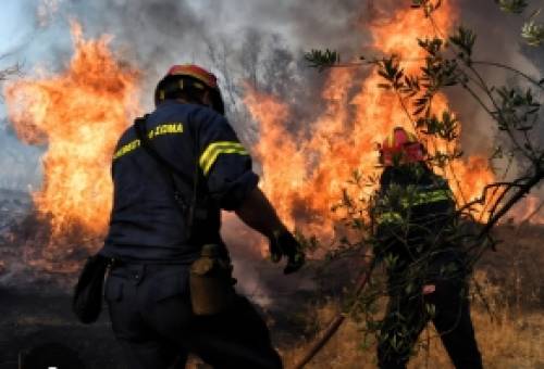 Ομαδική άμυνα για ανέπαφη «εστία» στα δάση της Λακωνίας
