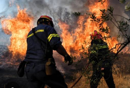 Ομαδική άμυνα για ανέπαφη «εστία» στα δάση της Λακωνίας