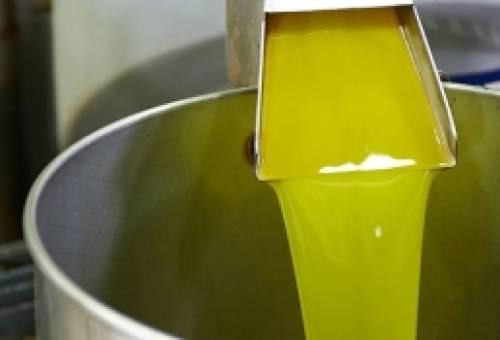 Στα 7,85€ «έφυγε» το αγουρέλαιο  στους Αγίους Αποστόλους