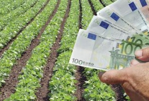 Αρχίζουν οι πληρωμές του προγράμματος Νέων Αγροτών
