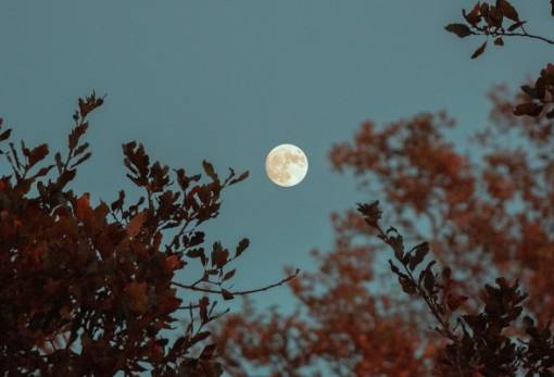 Πανσέληνος Μαΐου 2024: Πότε θα δούμε το Φεγγάρι των λουλουδιών