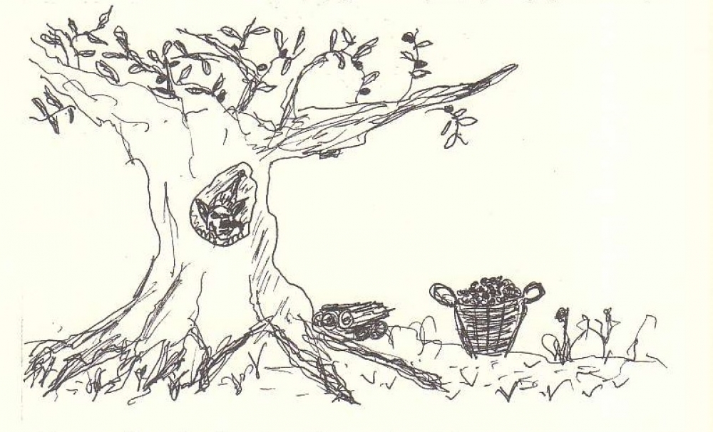 Ο καλλικάντζαρος και η ελιά