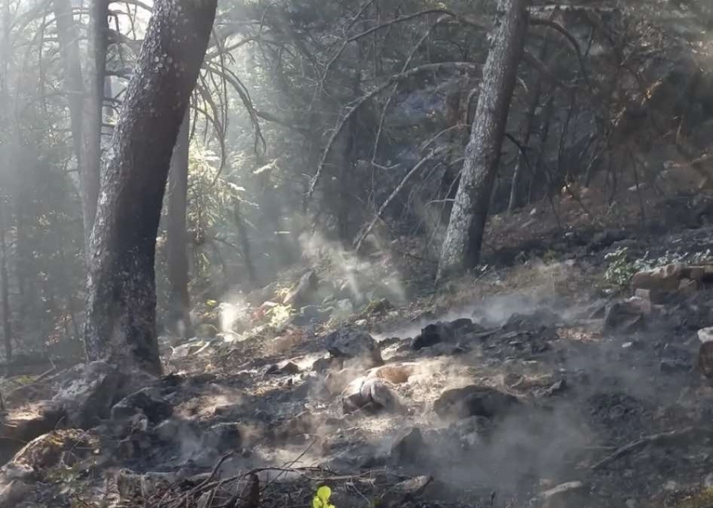 Σε ύφεση η φωτιά στον Ταΰγετο μετά από ολονύχτια μάχη