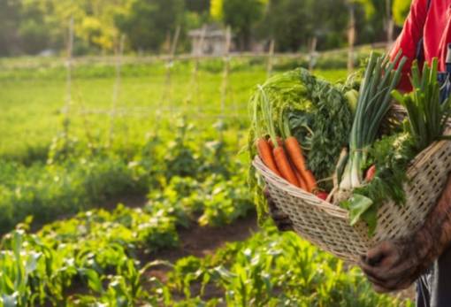 ΕΕ: Πρώτη συνεδρίαση για το παρατηρητήριο της αγροδιατροφικής αλυσίδας