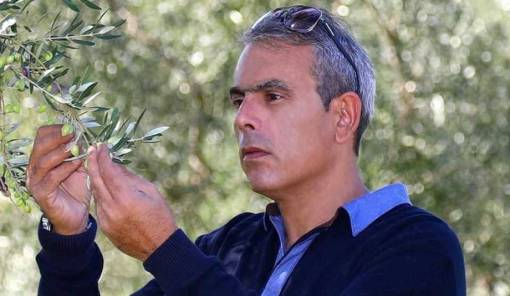 &Mu;&iota;&alpha; &laquo;&chi;&rho;&upsilon;&sigma;ή&raquo; &epsilon;&lambda;&alpha;&iota;&omicron;&kappa;&omicron;&mu;&iota;&kappa;ή &pi;&rho;&omicron;&omicron;&pi;&tau;&iota;&kappa;ή &gamma;&iota;&alpha; &tau;&eta; &Lambda;&alpha;&kappa;&omega;&nu;ί&alpha;