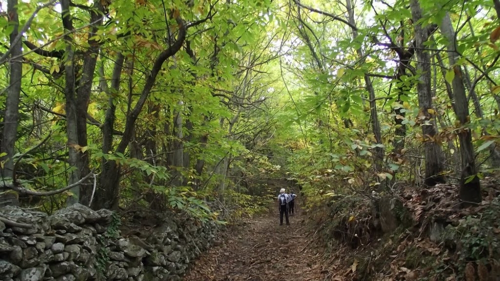 &Mu;&omicron;&nu;&omicron;&pi;ά&tau;&iota; &alpha;&nu;ά&pi;&tau;&upsilon;&xi;&eta;&sigmaf; &sigma;&upsilon;&nu;&delta;έ&epsilon;&iota; &Tau;&alpha;ΰ&gamma;&epsilon;&tau;&omicron; &kappa;&alpha;&iota; &Mu;&alpha;ί&nu;&alpha;&lambda;&omicron;!