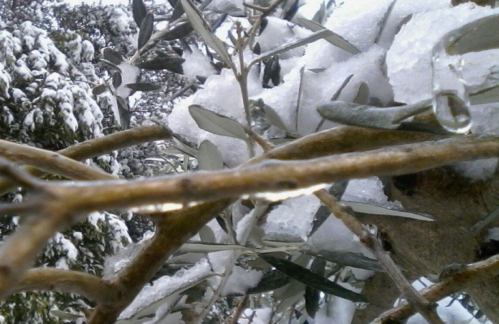 &Pi;&omicron;&rho;ί&sigma;&mu;&alpha;&tau;&alpha; &epsilon;&pi;&alpha;&nu;&epsilon;&kappa;&tau;ί&mu;&eta;&sigma;&eta;&sigmaf; &zeta;&eta;&mu;&iota;ώ&nu; &gamma;&iota;&alpha; &tau;&omicron;&nu; &pi;&alpha;&gamma;&epsilon;&tau;ό &tau;&omicron;&upsilon; 2022 &sigma;&tau;&omicron;&nu; &Delta;. &Sigma;&pi;ά&rho;&tau;&eta;&sigmaf;