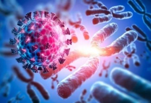 Τρία κρούσματα της μετάλλαξης «Ομικρόν» στη Σπάρτη