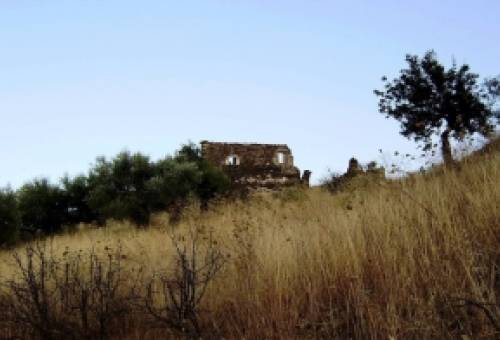 Ο Μαμαλιάς θα επιστρέφει πάντα στο Λίμπερδο