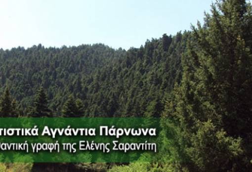 Βραδιά λογοτεχνίας στα Τσίντζινα με την Ε. Σαραντίτη