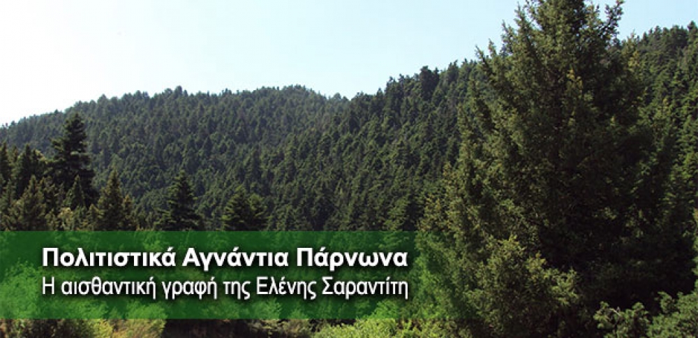 Βραδιά λογοτεχνίας στα Τσίντζινα με την Ε. Σαραντίτη