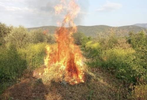 Αντιπυρική περίοδος 2026: Προσοχή στις καύσεις κλαδεμάτων