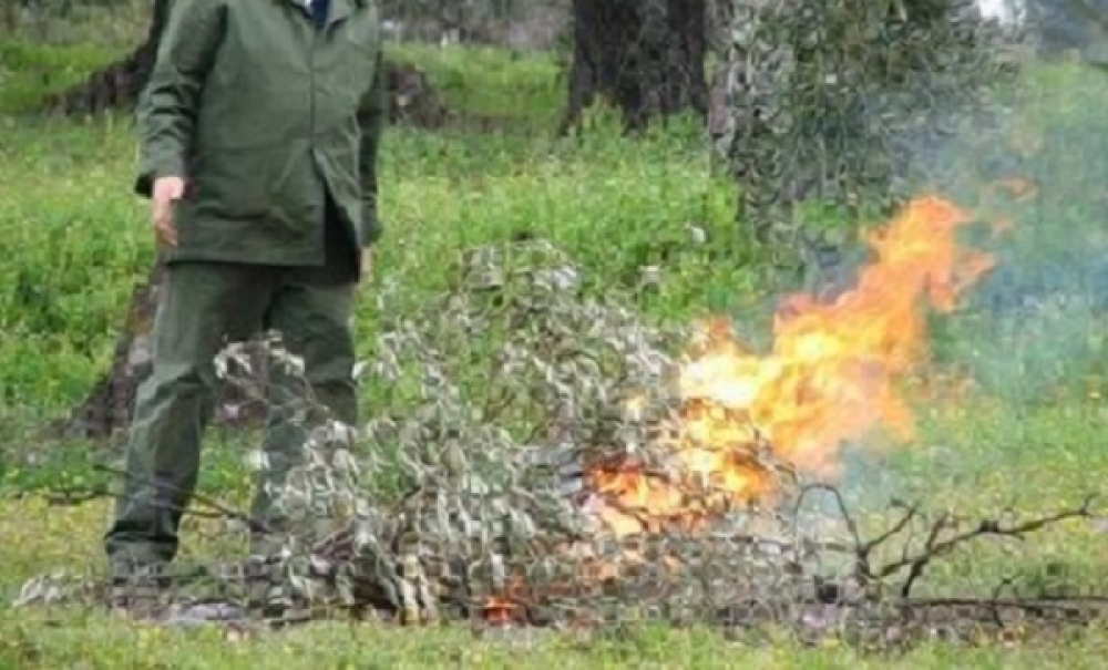 &Eta; &kappa;&alpha;ύ&sigma;&eta; &kappa;&lambda;&alpha;&delta;&iota;ώ&nu; &sigma;&epsilon; &chi;&omega;&rho;ά&phi;&iota; &sigma;&tau;&eta; &Sigma;&pi;ά&rho;&tau;&eta; &sigma;&tau;&omicron;ί&chi;&iota;&sigma;&epsilon;&hellip; &sigma;ύ&lambda;&lambda;&eta;&psi;&eta; &kappa;&alpha;&iota; &tau;&sigma;&omicron;&upsilon;&chi;&tau;&epsilon;&rho;ό &pi;&rho;ό&sigma;&tau;&iota;&mu;&omicron;