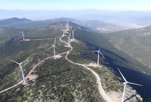 Ελληνική Επιστημονική Ένωση Αιολικής Ενέργειας: «Τα αιολικά πάρκα προστατεύουν τα δάση»