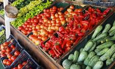 Ί&sigma;&omicron;&upsilon;&sigmaf; ό&rho;&omicron;&upsilon;&sigmaf; &alpha;&nu;&tau;&alpha;&gamma;&omega;&nu;&iota;&sigma;&mu;&omicron;ύ &gamma;&iota;&alpha; &epsilon;&gamma;&chi;ώ&rho;&iota;&alpha; &kappa;&alpha;&iota; &epsilon;&iota;&sigma;&alpha;&gamma;ό&mu;&epsilon;&nu;&alpha; &phi;&rho;&omicron;ύ&tau;&alpha; &kappa;&alpha;&iota; &lambda;&alpha;&chi;&alpha;&nu;&iota;&kappa;ά &zeta;&eta;&tau;ά &omicron; &Kappa;. &Alpha;&rho;&beta;&alpha;&nu;ί&tau;&eta;&sigmaf;