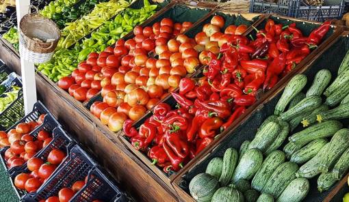 Ί&sigma;&omicron;&upsilon;&sigmaf; ό&rho;&omicron;&upsilon;&sigmaf; &alpha;&nu;&tau;&alpha;&gamma;&omega;&nu;&iota;&sigma;&mu;&omicron;ύ &gamma;&iota;&alpha; &epsilon;&gamma;&chi;ώ&rho;&iota;&alpha; &kappa;&alpha;&iota; &epsilon;&iota;&sigma;&alpha;&gamma;ό&mu;&epsilon;&nu;&alpha; &phi;&rho;&omicron;ύ&tau;&alpha; &kappa;&alpha;&iota; &lambda;&alpha;&chi;&alpha;&nu;&iota;&kappa;ά &zeta;&eta;&tau;ά &omicron; &Kappa;. &Alpha;&rho;&beta;&alpha;&nu;ί&tau;&eta;&sigmaf;