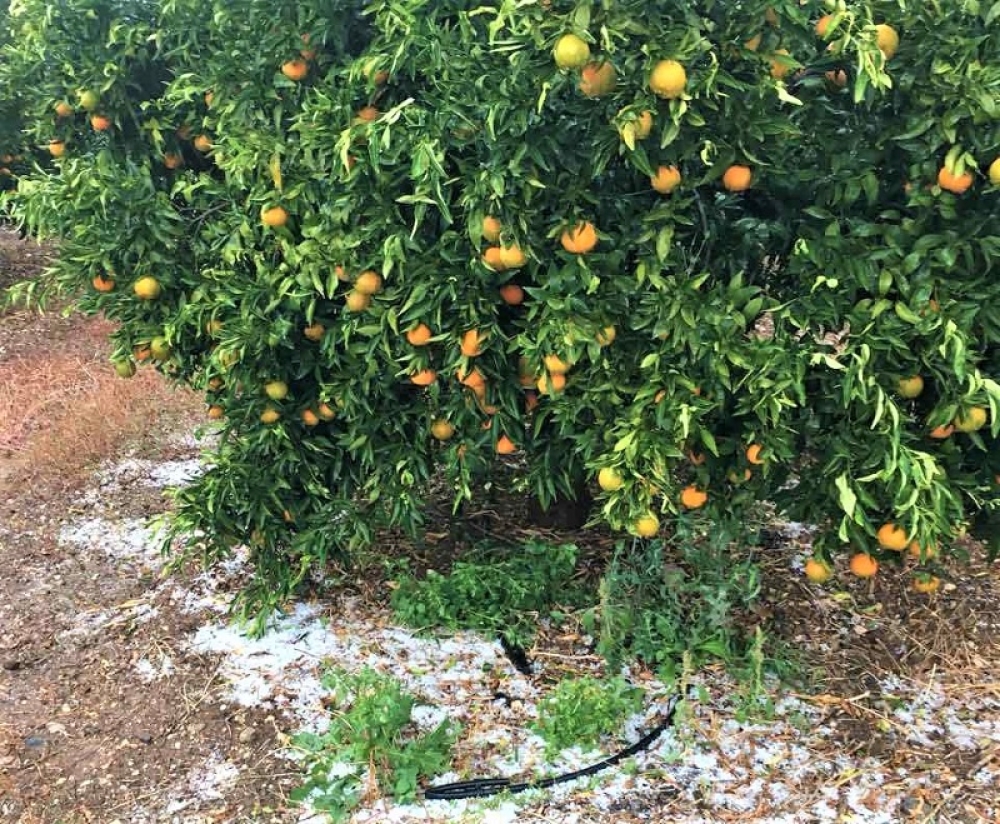 &Pi;&omicron;&rho;ί&sigma;&mu;&alpha;&tau;&alpha; &gamma;&iota;&alpha; &tau;&iota;&sigmaf; &zeta;&eta;&mu;&iota;έ&sigmaf; &alpha;&pi;ό &tau;&omicron; &chi;&alpha;&lambda;ά&zeta;&iota; &tau;&omicron;&upsilon; &Nu;&omicron;&epsilon;&mu;&beta;&rho;ί&omicron;&upsilon; &sigma;&tau;&eta;&nu; &Alpha;&pi;&iota;&delta;έ&alpha;