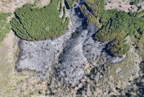 Στο καθήκον της η Πολιτική Προστασία Σπάρτης στη φωτιά των Καρυών