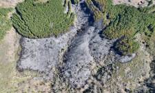 &Sigma;&tau;&omicron; &kappa;&alpha;&theta;ή&kappa;&omicron;&nu; &tau;&eta;&sigmaf; &eta; &Pi;&omicron;&lambda;&iota;&tau;&iota;&kappa;ή &Pi;&rho;&omicron;&sigma;&tau;&alpha;&sigma;ί&alpha; &Sigma;&pi;ά&rho;&tau;&eta;&sigmaf; &sigma;&tau;&eta; &phi;&omega;&tau;&iota;ά &tau;&omega;&nu; &Kappa;&alpha;&rho;&upsilon;ώ&nu;