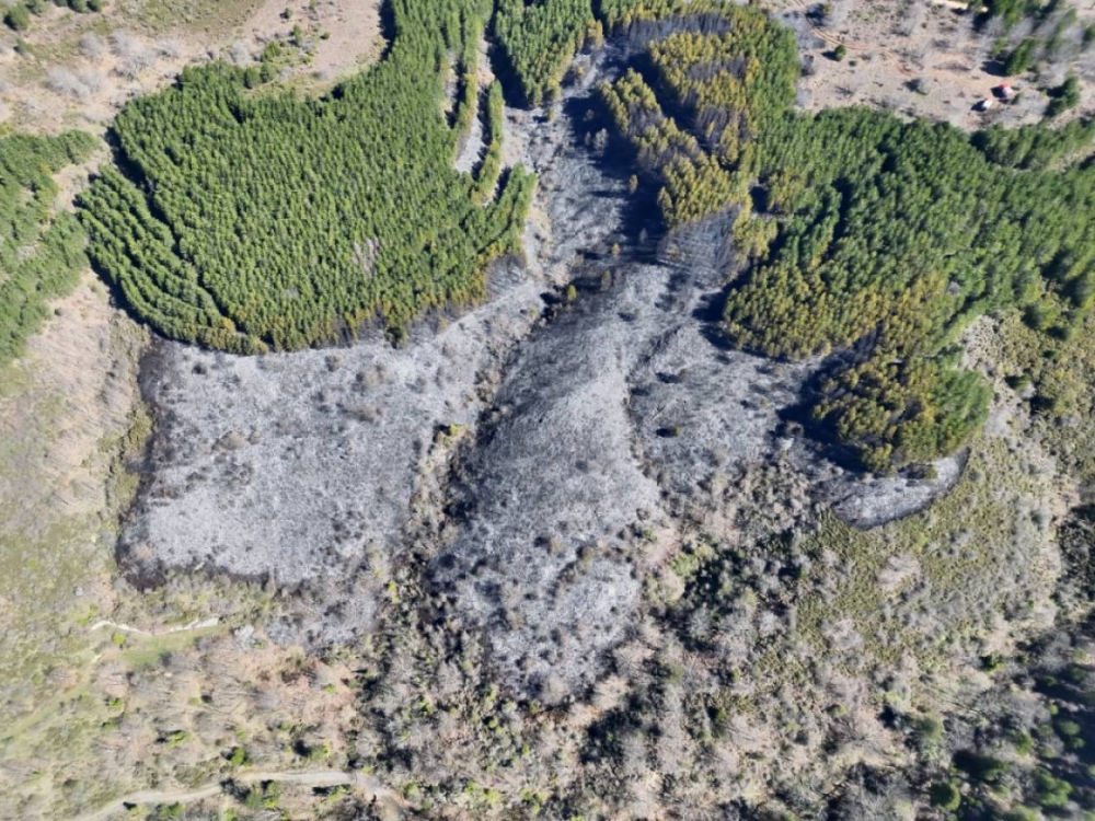 &Sigma;&tau;&omicron; &kappa;&alpha;&theta;ή&kappa;&omicron;&nu; &tau;&eta;&sigmaf; &eta; &Pi;&omicron;&lambda;&iota;&tau;&iota;&kappa;ή &Pi;&rho;&omicron;&sigma;&tau;&alpha;&sigma;ί&alpha; &Sigma;&pi;ά&rho;&tau;&eta;&sigmaf; &sigma;&tau;&eta; &phi;&omega;&tau;&iota;ά &tau;&omega;&nu; &Kappa;&alpha;&rho;&upsilon;ώ&nu;