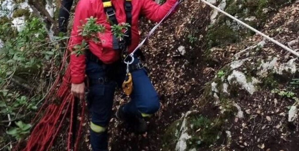 &Lambda;&alpha;&chi;&tau;ά&rho;&alpha; &alpha;&lambda;&lambda;ά &alpha;ί&sigma;&iota;&omicron; &tau;έ&lambda;&omicron;&sigmaf; &gamma;&iota;&alpha; &tau;&omicron;&nu; &Gamma;ά&lambda;&lambda;&omicron; &omicron;&rho;&epsilon;&iota;&beta;ά&tau;&eta; &sigma;&tau;&omicron;&nu; &Tau;&alpha;ΰ&gamma;&epsilon;&tau;&omicron;