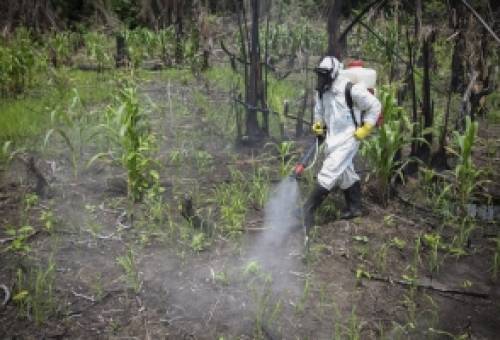 Φυτοφάρμακα: Μια αθέατη κρίση δηλητηριάζει τον αγροτικό κόσμο