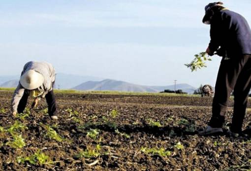 Ενημέρωση για τη νέα ΚΑΠ σε ημερίδα στο Γεράκι