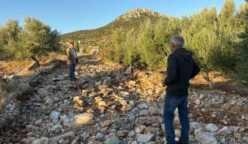 &Alpha;&nu;&upsilon;&pi;&omicron;&lambda;ό&gamma;&iota;&sigma;&tau;&epsilon;&sigmaf; &zeta;&eta;&mu;&iota;έ&sigmaf; &sigma;&epsilon; &alpha;&gamma;&rho;&omicron;&tau;&iota;&kappa;ή &omicron;&delta;&omicron;&pi;&omicron;&iota;ί&alpha; &kappa;&alpha;&iota; ύ&delta;&rho;&epsilon;&upsilon;&sigma;&eta; &sigma;&tau;&omicron;&nu; &Delta;. &Mu;&omicron;&nu;&epsilon;&mu;&beta;&alpha;&sigma;ί&alpha;&sigmaf;