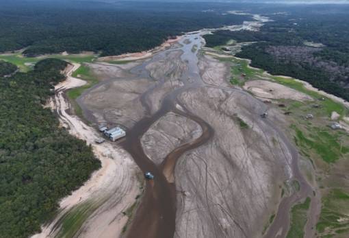 Αμαζόνιος: Καταστράφηκε δάσος για να φτιαχτεί δρόμος… για την κλιματική σύνοδο