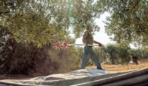 &Sigma;&tau;&omicron;&nu; &laquo;&alpha;έ&rho;&alpha;&raquo; &tau;&alpha; &epsilon;&lambda;&alpha;&iota;&omicron;&kappa;&omicron;&mu;&iota;&kappa;ά &pi;&rho;&omicron;&gamma;&rho;ά&mu;&mu;&alpha;&tau;&alpha;