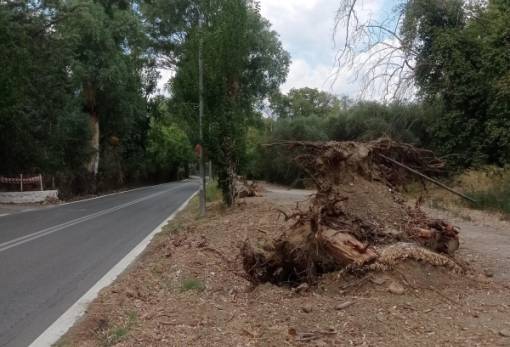 Πάρκο Γουδέ – Ένας χρόνος μετά