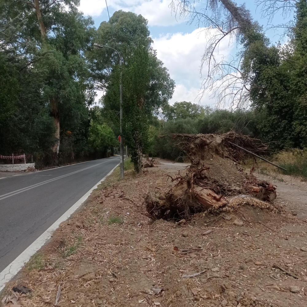 &Pi;ά&rho;&kappa;&omicron; &Gamma;&omicron;&upsilon;&delta;έ &ndash; Έ&nu;&alpha;&sigmaf; &chi;&rho;ό&nu;&omicron;&sigmaf; &mu;&epsilon;&tau;ά
