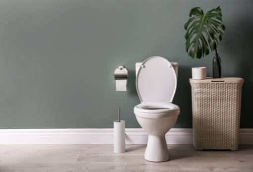 Άλατα στη λεκάνη: Το φυσικό υλικό που θα τα απομακρύνει και θα την κάνει σαν καινούργια