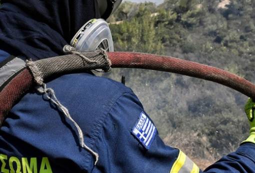 Φωτιά μεταξύ Καρυών και Αγίου Πέτρου (ΣΥΝΕΧΗΣ ΕΝΗΜΕΡΩΣΗ)