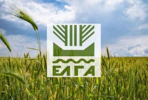 Παράταση της προθεσμίας καταβολής της Ειδικής Ασφαλιστικής Εισφοράς