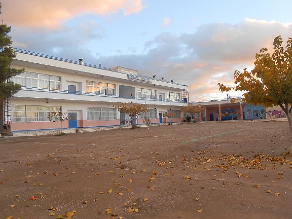 Τι έδειξαν τα rapid test στα γυμνάσια της Σπάρτης