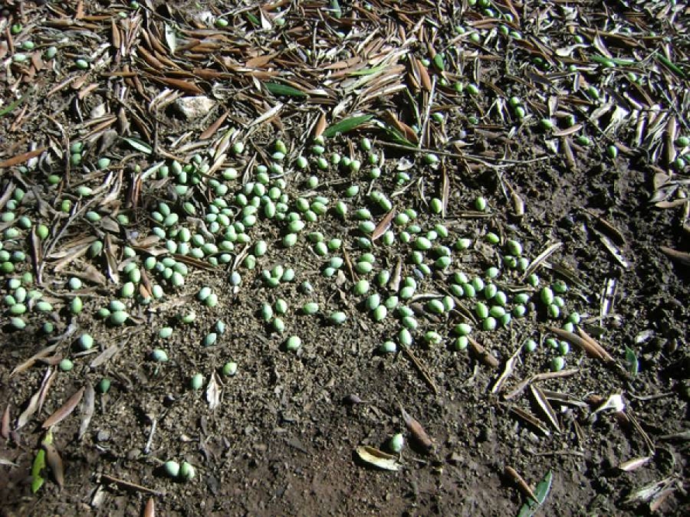 &Delta;&eta;&lambda;ώ&sigma;&epsilon;&iota;&sigmaf; &zeta;&eta;&mu;&iota;ά&sigmaf; &alpha;&pi;ό &chi;&alpha;&lambda;ά&zeta;&iota; &gamma;&iota;&alpha; &kappa;&omicron;&iota;&nu;ό&tau;&eta;&tau;&epsilon;&sigmaf; &tau;&omicron;&upsilon; &Delta;. &Epsilon;&upsilon;&rho;ώ&tau;&alpha;